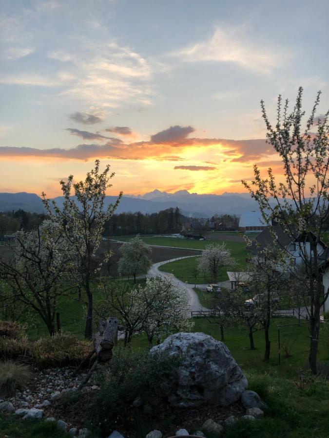 Apartma Romana Spodnji Otok 外观 照片